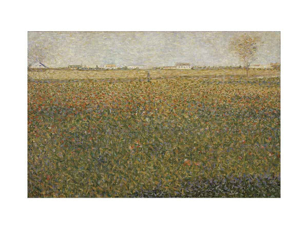 Alfalfa Fields, Saint-Denis