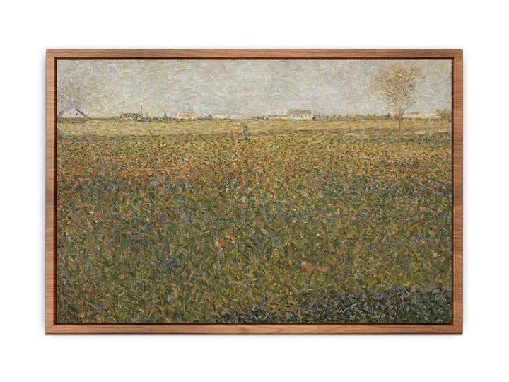 Alfalfa Fields, Saint-Denis