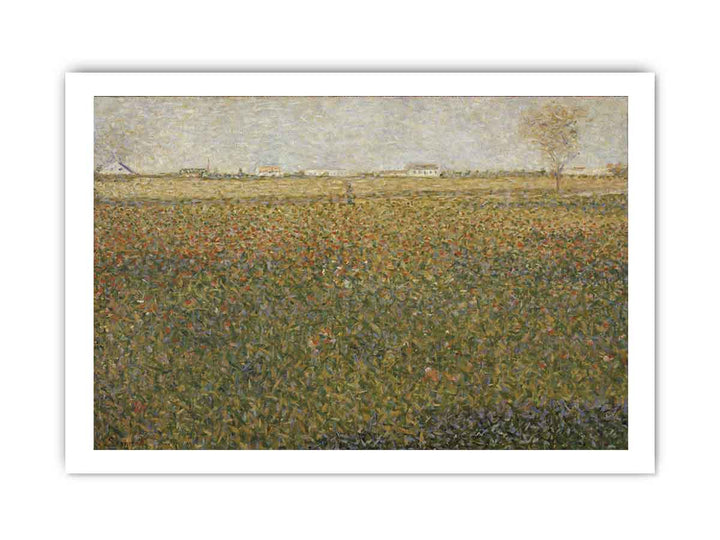 Alfalfa Fields, Saint-Denis