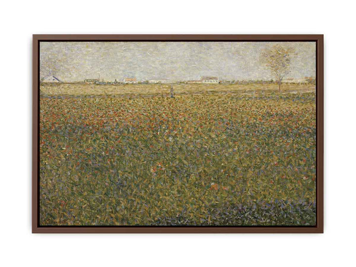 Alfalfa Fields, Saint-Denis