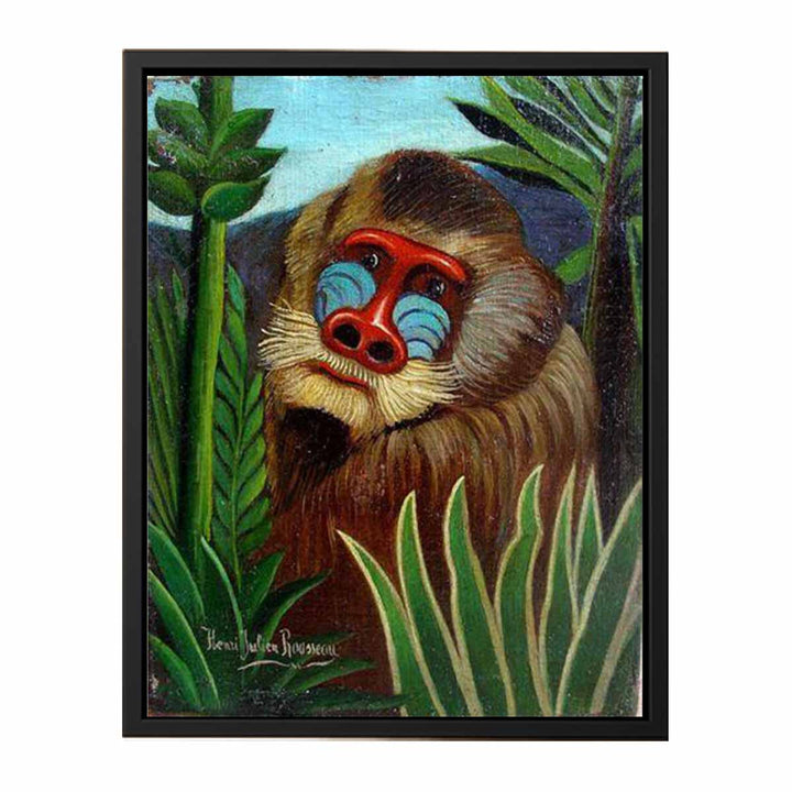 Mandrill in the Jungle