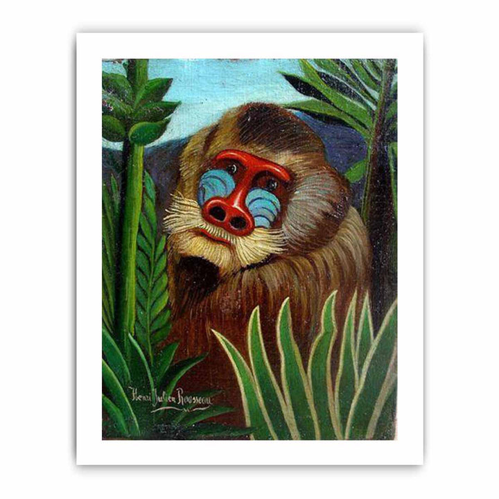 Mandrill in the Jungle