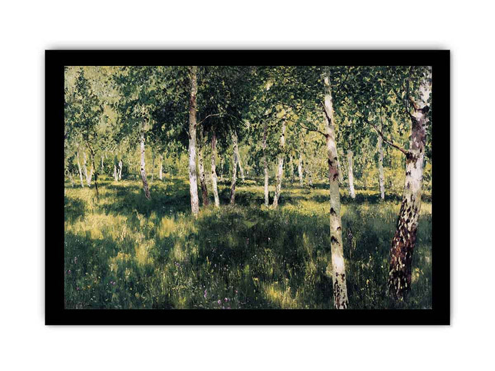 Birch grove