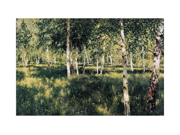 Birch grove