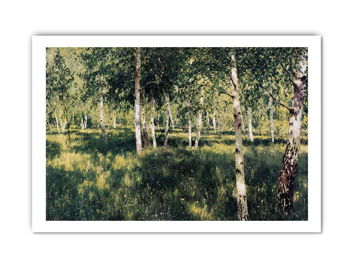 Birch grove