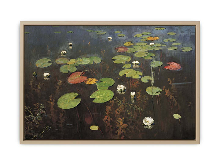 Water lilies