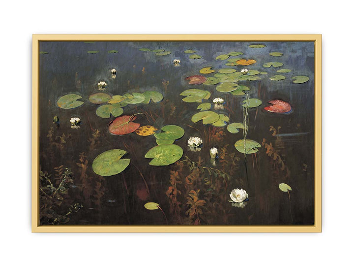 Water lilies