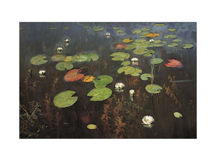 Water lilies