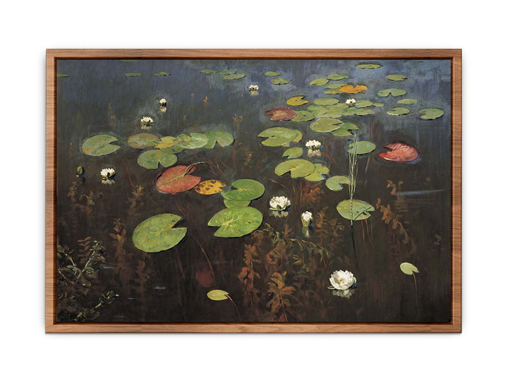 Water lilies