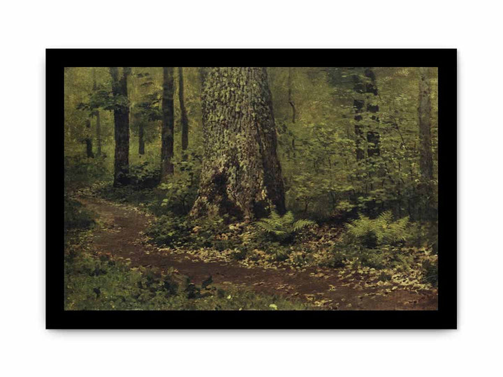 Path in the Deciduous Forest. Ferns