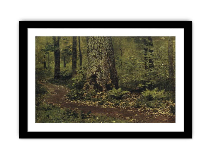 Path in the Deciduous Forest. Ferns