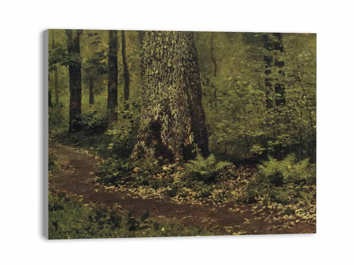 Path in the Deciduous Forest. Ferns