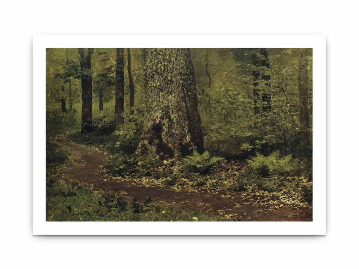 Path in the Deciduous Forest. Ferns