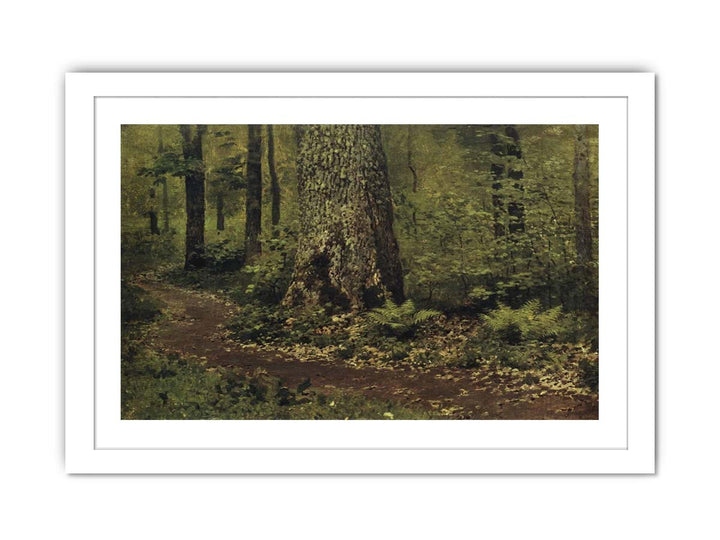 Path in the Deciduous Forest. Ferns