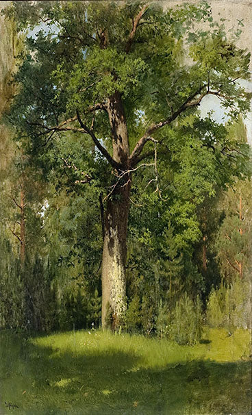 The Oak. Isaac Levitan