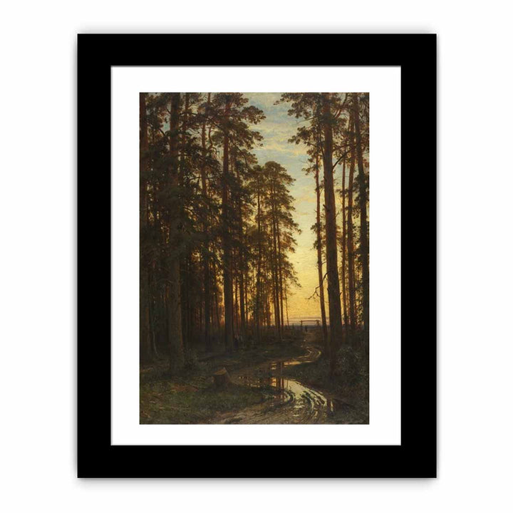 Evening in a Pine Forest (Pine Forest)