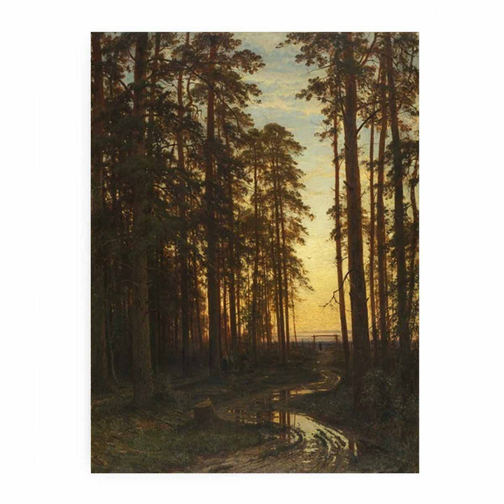 Evening in a Pine Forest (Pine Forest)