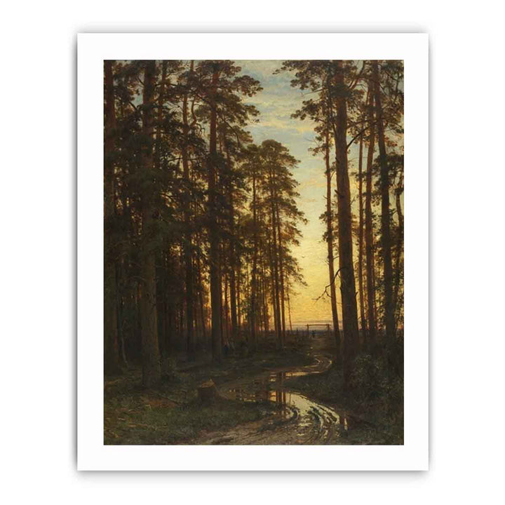 Evening in a Pine Forest (Pine Forest)