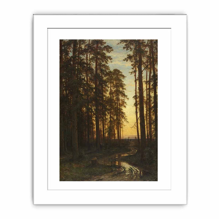 Evening in a Pine Forest (Pine Forest)