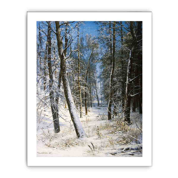 Winter in the forest (Frost)