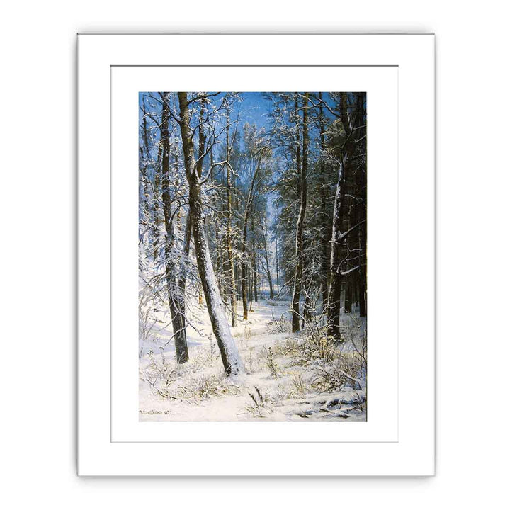 Winter in the forest (Frost)