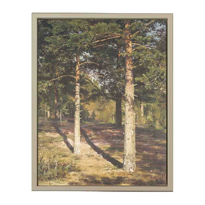 The Sun Lit Pines