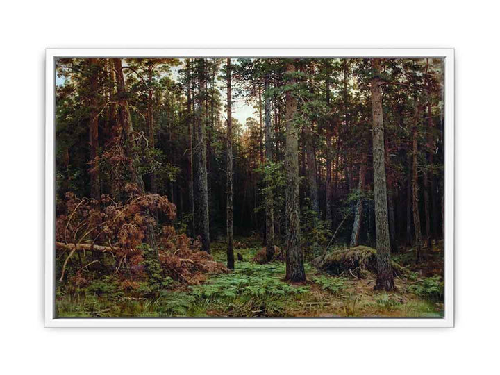 Pine Forest 1885