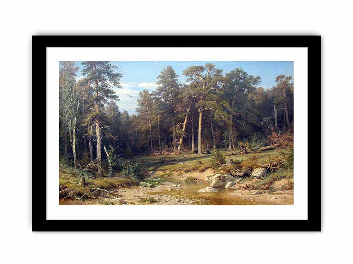 A Pine Forest. Mast-Timber forest in Viatka Province