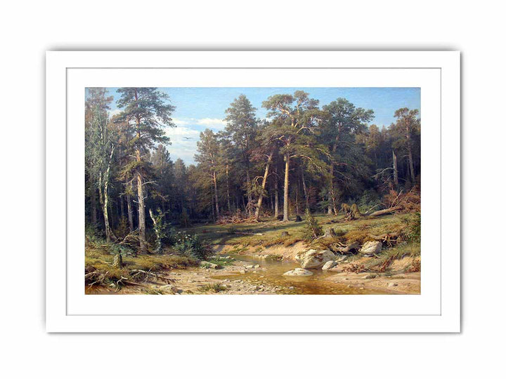 A Pine Forest. Mast-Timber forest in Viatka Province