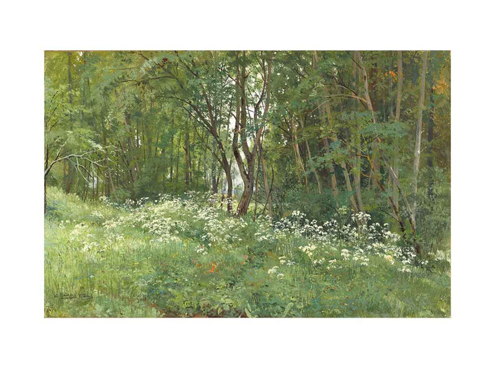 Flowers on the Edge of the Forest