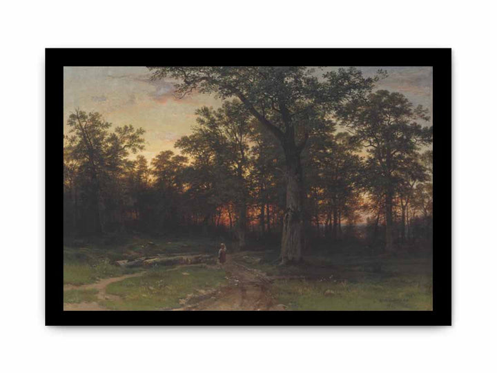 Forest in the evening