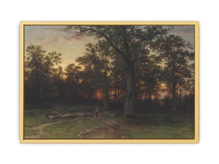 Forest in the evening