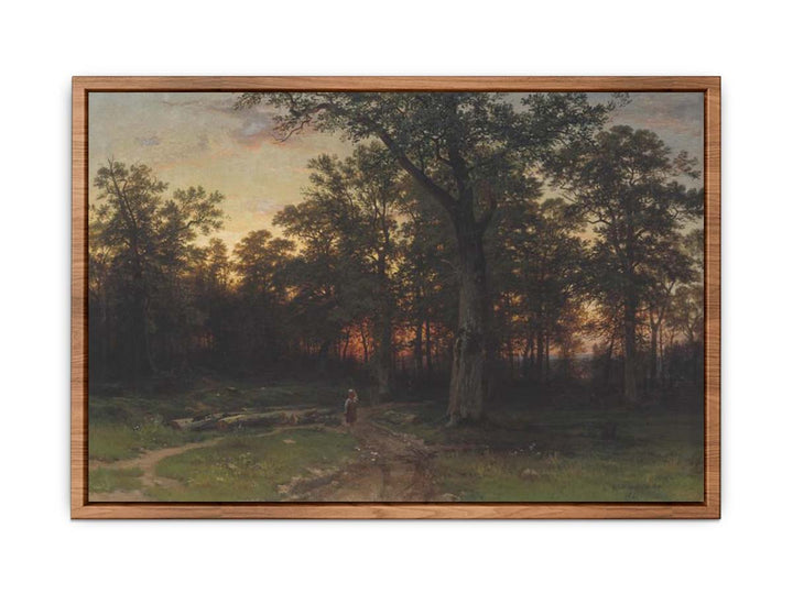 Forest in the evening