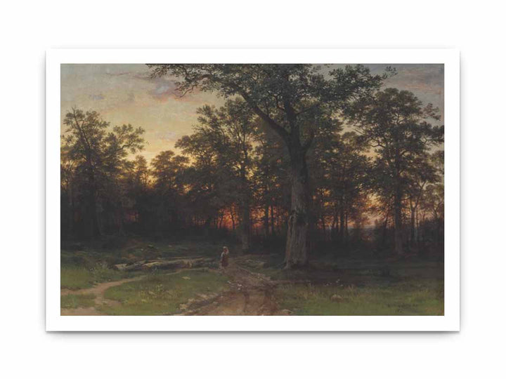 Forest in the evening