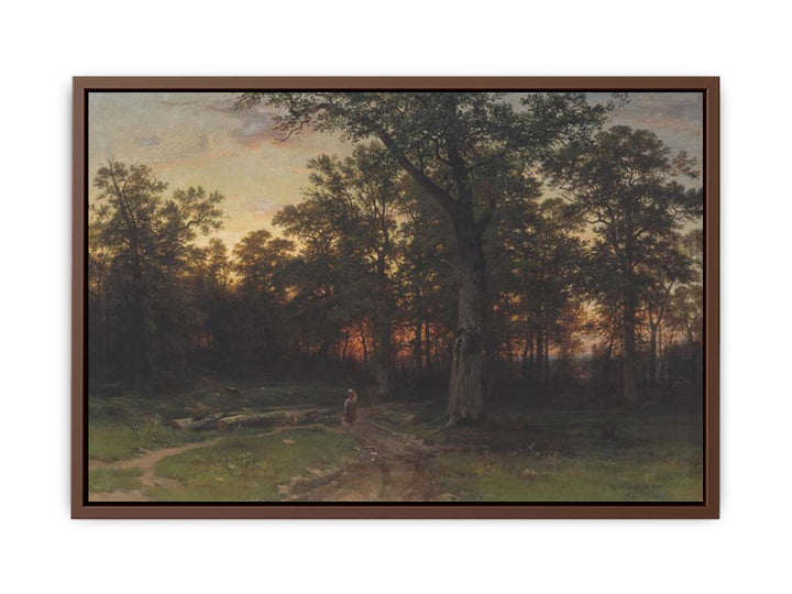 Forest in the evening