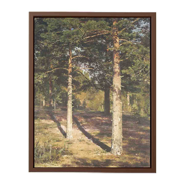 The Sun Lit Pines