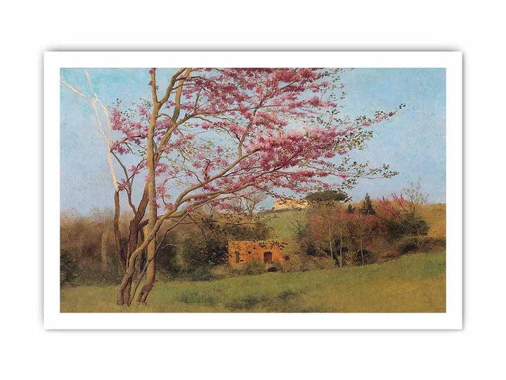 Landscape Of A Blossoming Red Almond