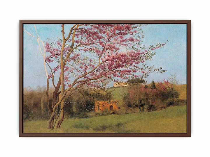 Landscape Of A Blossoming Red Almond