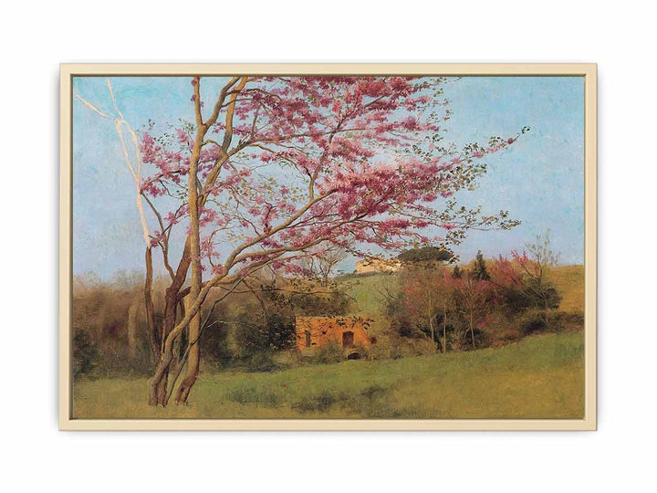 Landscape Of A Blossoming Red Almond