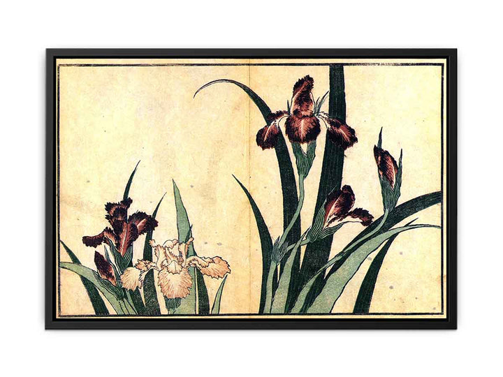 Irises 2