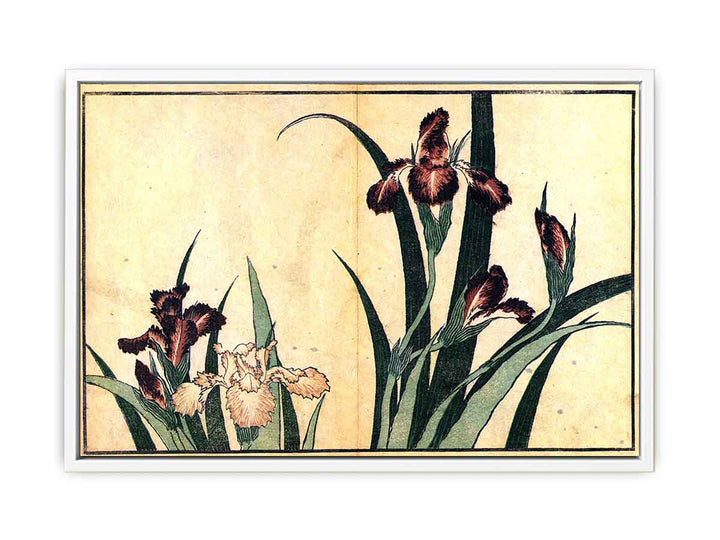 Irises 2