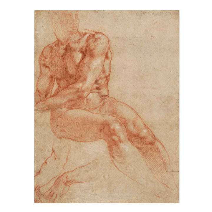 Male Nude Study