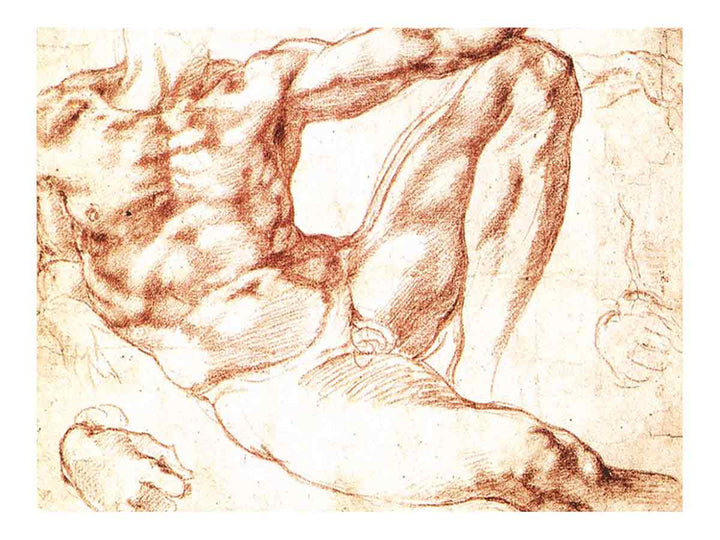 Study for Adam c. 1510