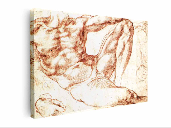 Study for Adam c. 1510