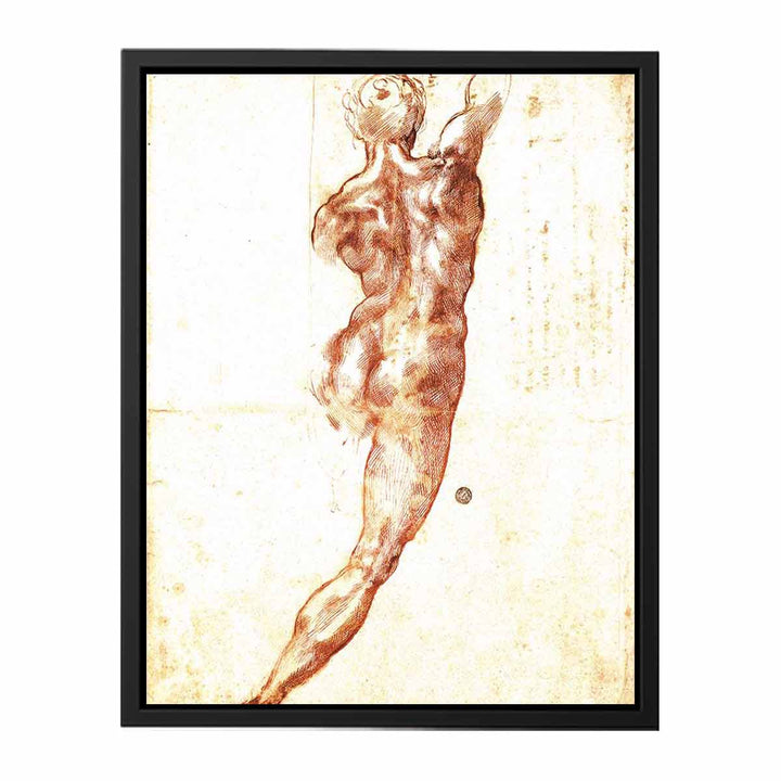 Study for a Nude 1504