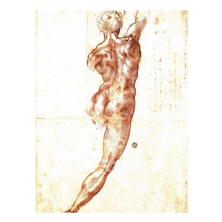 Study for a Nude 1504