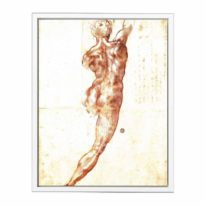 Study for a Nude 1504