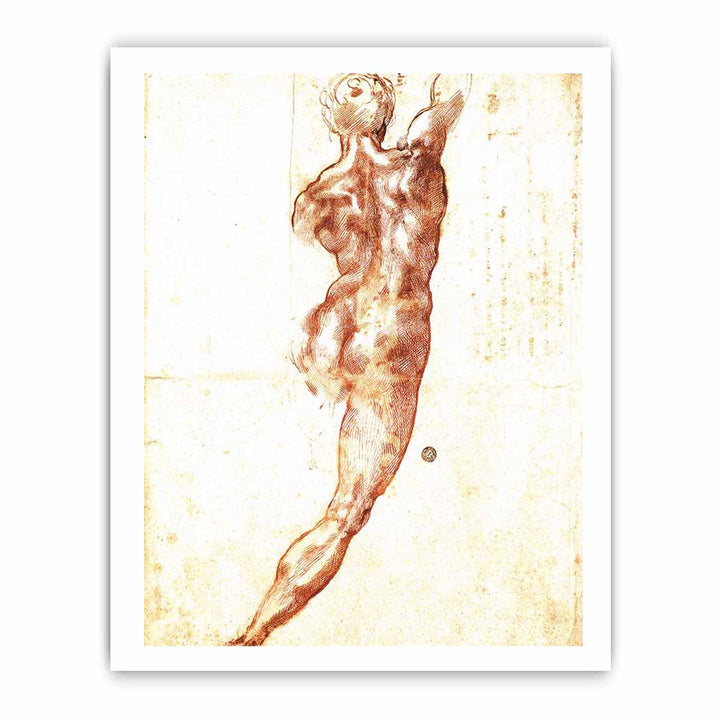 Study for a Nude 1504