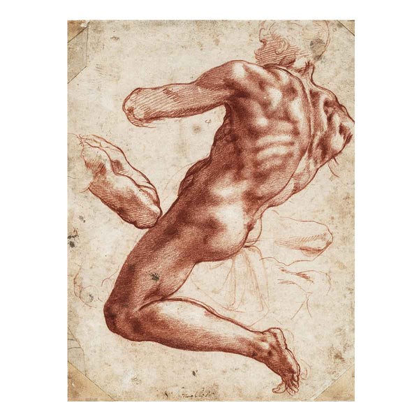 Study for an ignudo