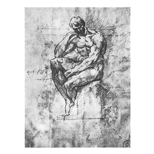 Study of a Man 1510-11